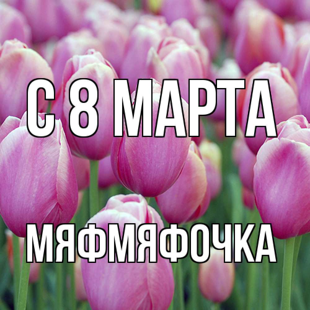 Открытка на каждый день с именем, мяфмяфочка C 8 МАРТА на международный женский день 3 Прикольная открытка с пожеланием онлайн скачать бесплатно 
