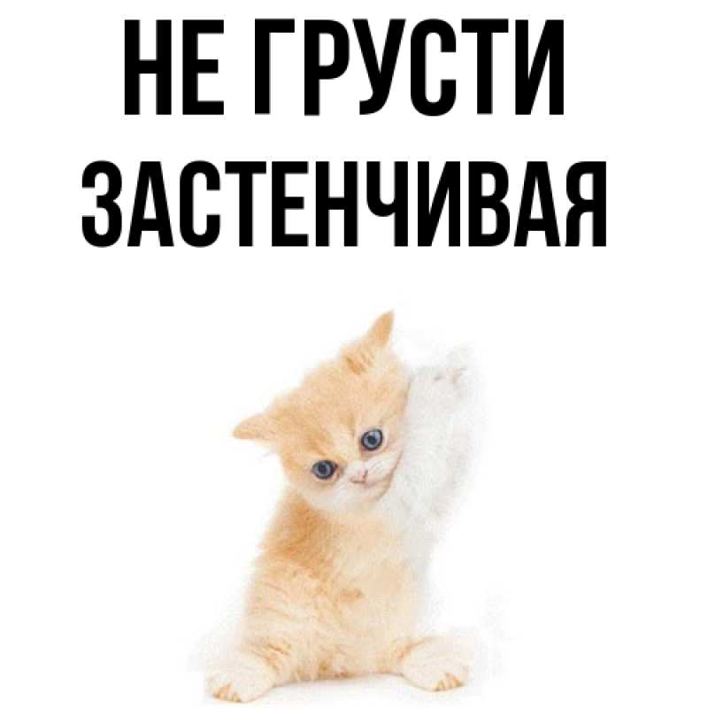 Картинка Не грусти, Застенчивая