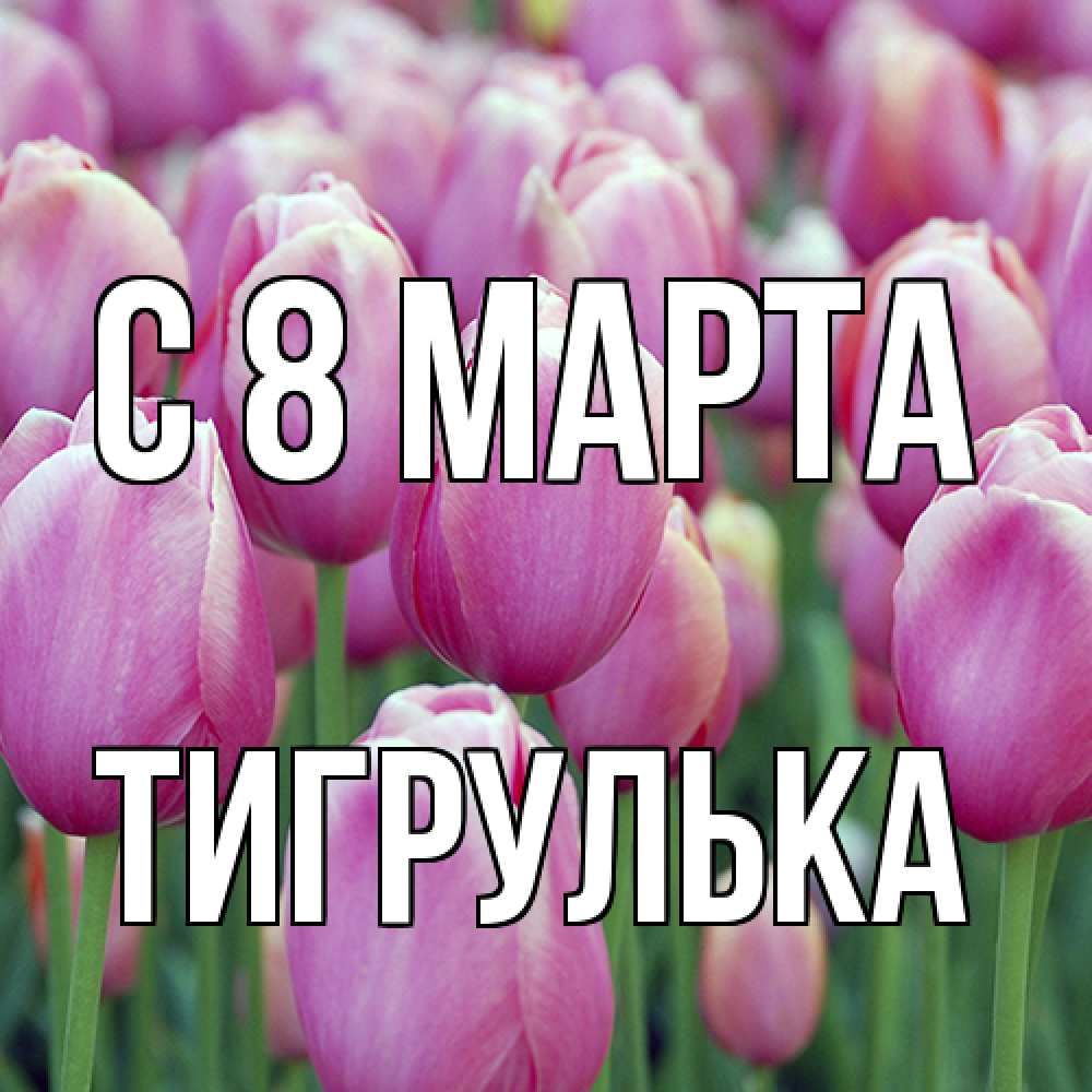 Открытка на каждый день с именем, тигрулька C 8 МАРТА на международный женский день 3 Прикольная открытка с пожеланием онлайн скачать бесплатно 