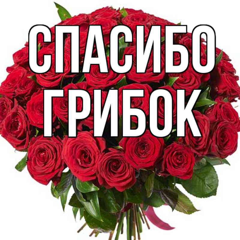 Картинка Спасибо, Грибок