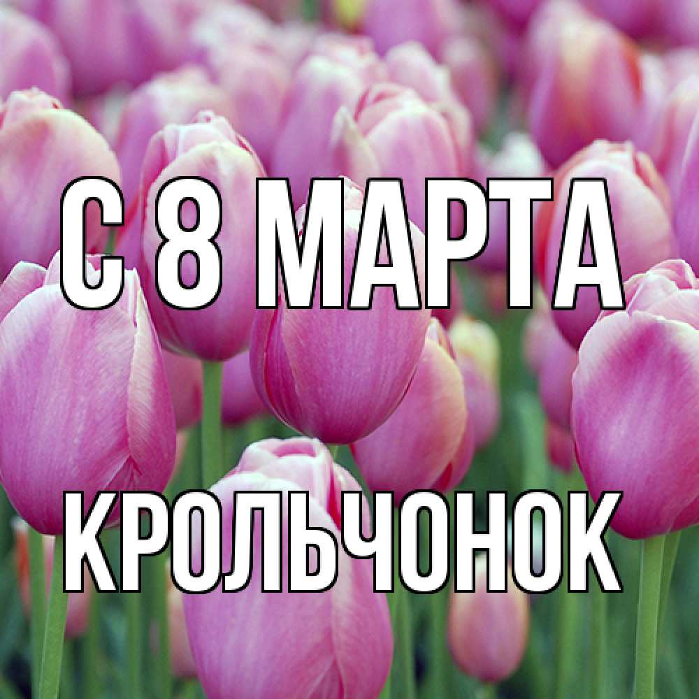 Открытка на каждый день с именем, Крольчонок C 8 МАРТА на международный женский день 3 Прикольная открытка с пожеланием онлайн скачать бесплатно 
