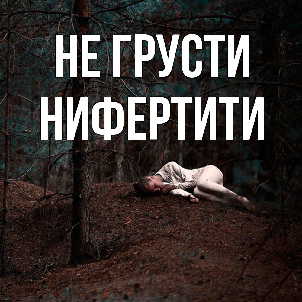 Открытка на каждый день с именем, Нифертити Не грусти лес Прикольная открытка с пожеланием онлайн скачать бесплатно 