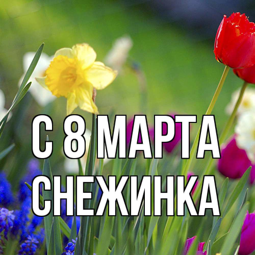 Открытка на каждый день с именем, Снежинка C 8 МАРТА международный женский день 3 Прикольная открытка с пожеланием онлайн скачать бесплатно 