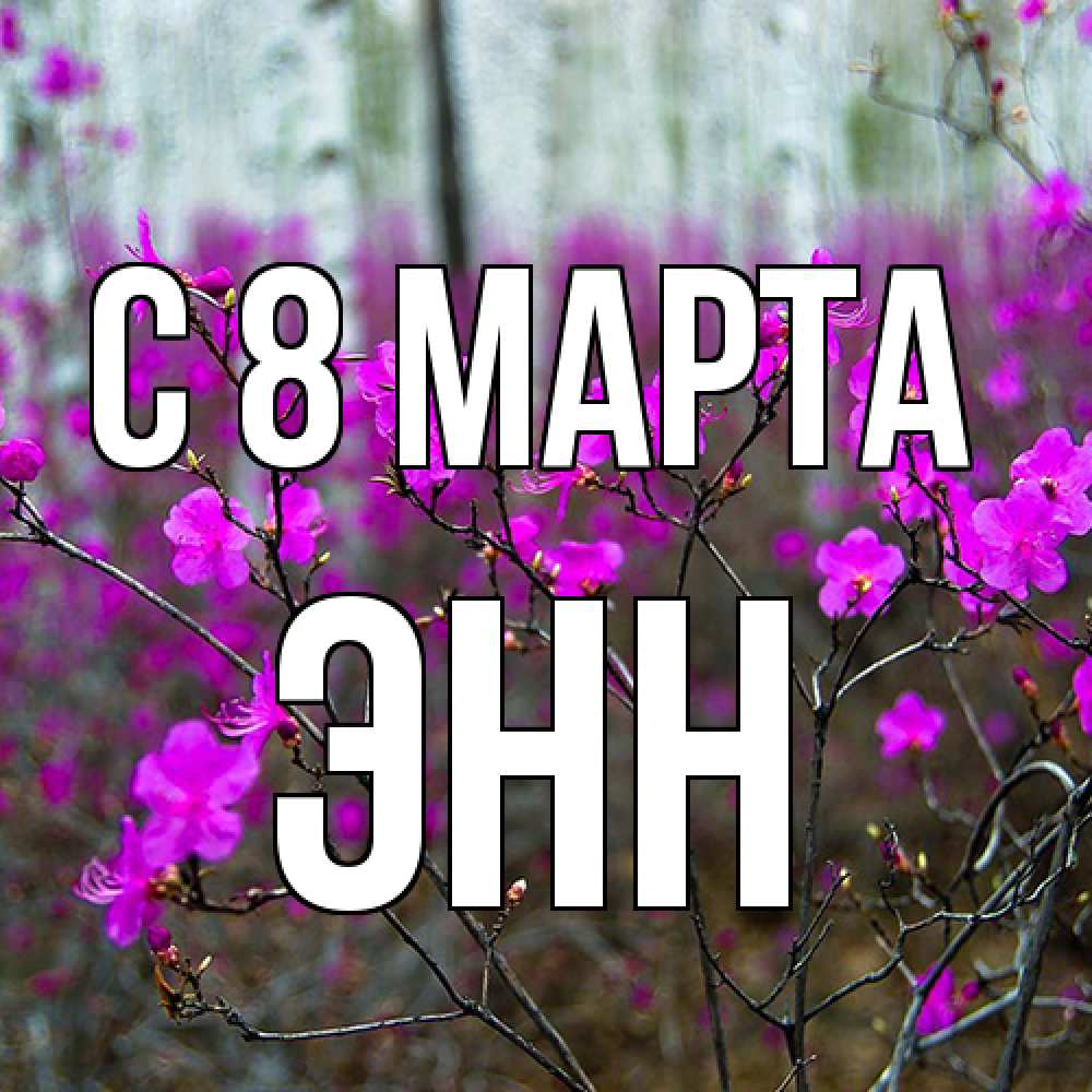 Открытка на каждый день с именем, Энн C 8 МАРТА дикие цветы Прикольная открытка с пожеланием онлайн скачать бесплатно 