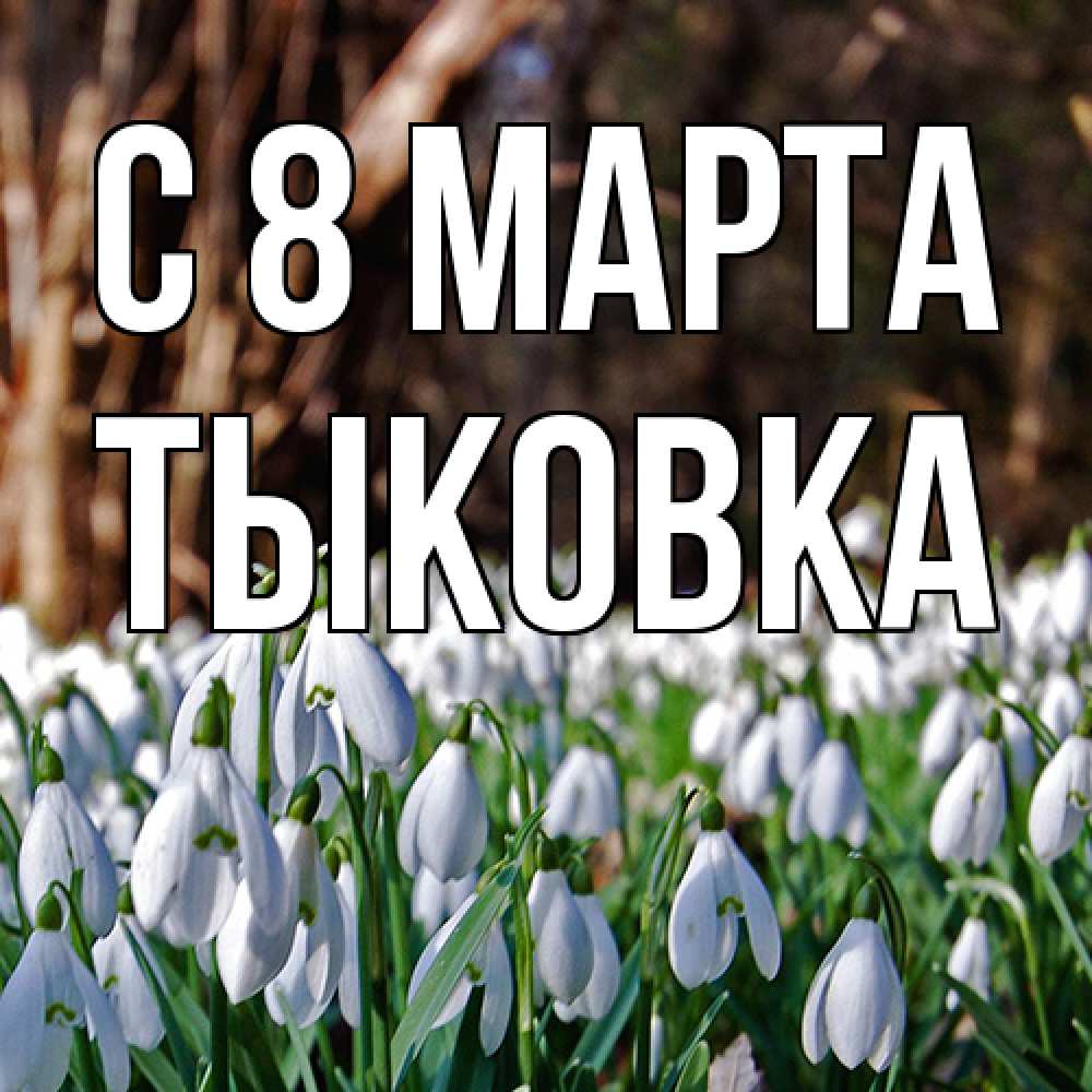 Открытка на каждый день с именем, тыковка C 8 МАРТА с подснежниками 1 Прикольная открытка с пожеланием онлайн скачать бесплатно 