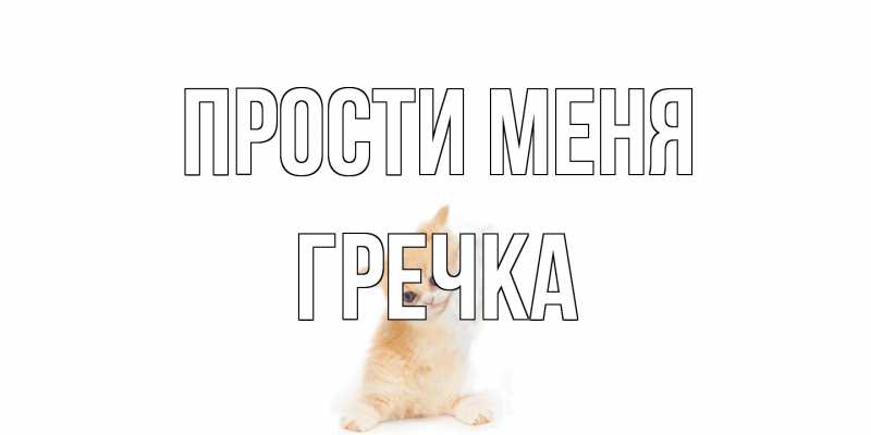 Картинка Прости меня, Гречка