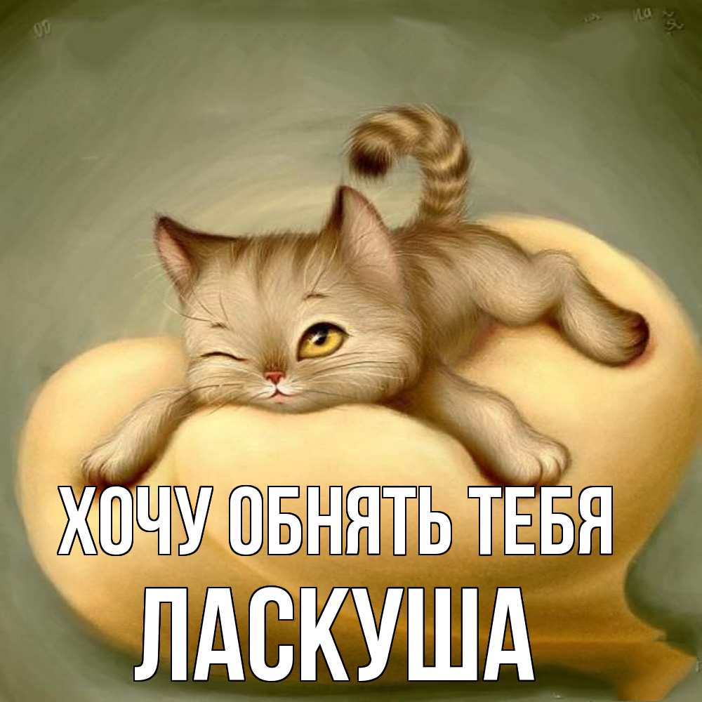 Открытка на каждый день с именем, ласкуша Хочу обнять тебя кошечка Прикольная открытка с пожеланием онлайн скачать бесплатно 
