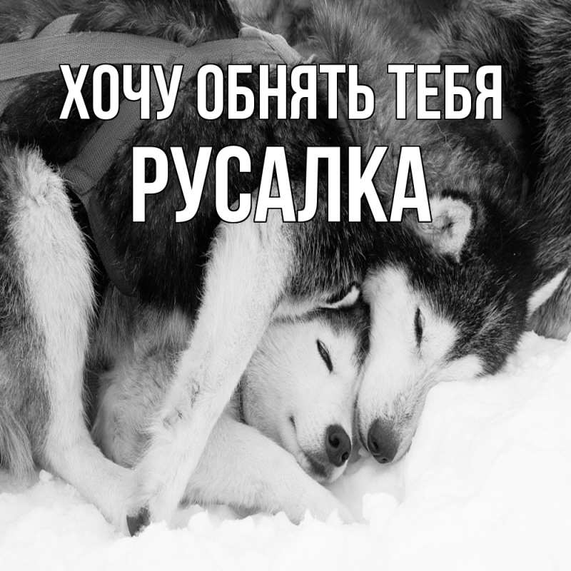 Картинка Хочу обнять тебя, Русалка