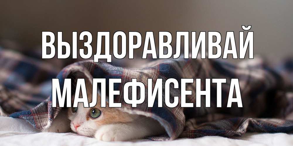 Открытка на каждый день с именем, Малефисента Выздоравливай не болейте с котиком Прикольная открытка с пожеланием онлайн скачать бесплатно 