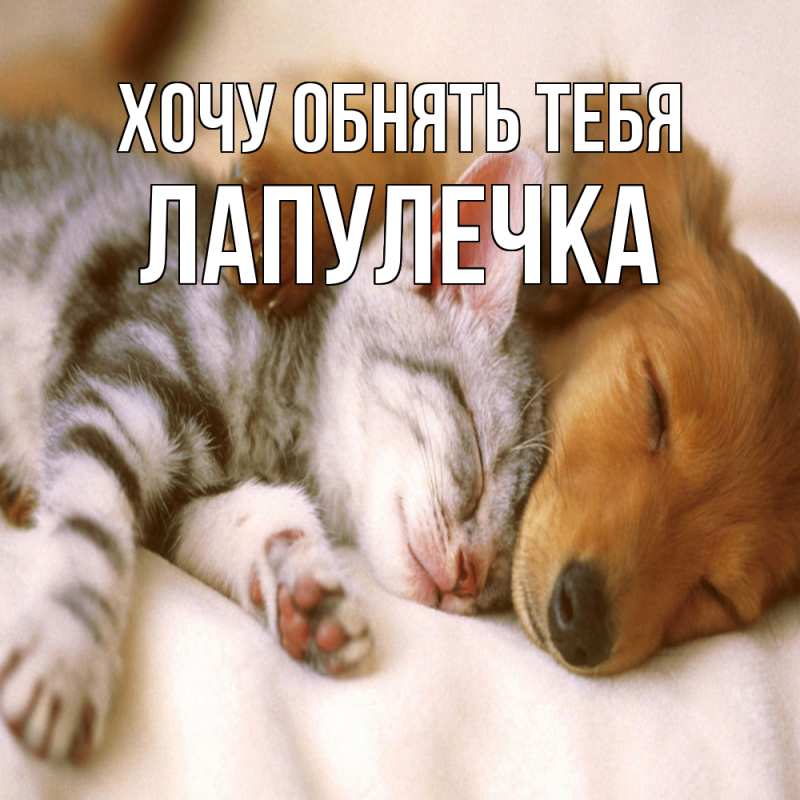 Картинка Хочу обнять тебя, Лапулечка