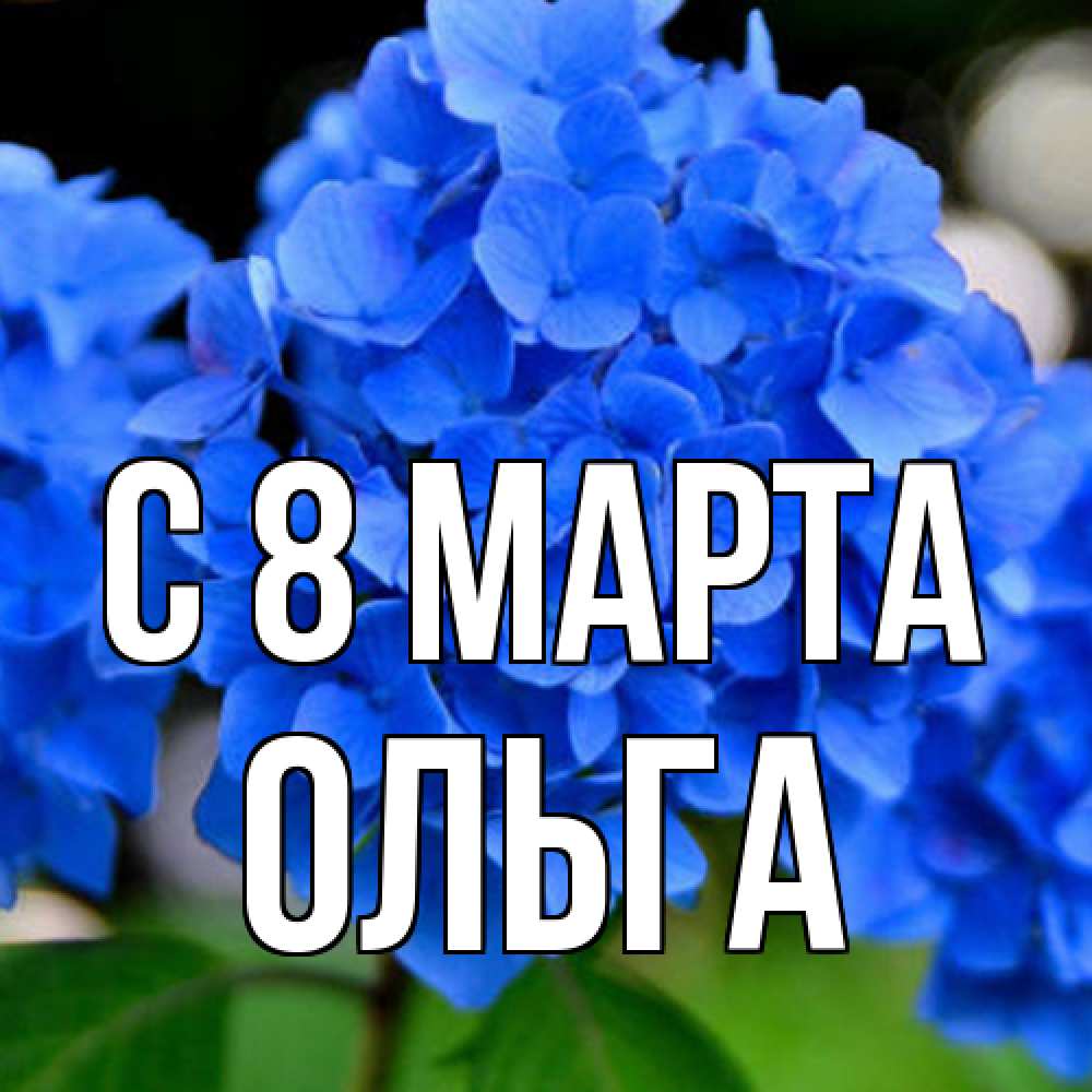 Открытка на каждый день с именем, Ольга C 8 МАРТА синие цветы Прикольная открытка с пожеланием онлайн скачать бесплатно 