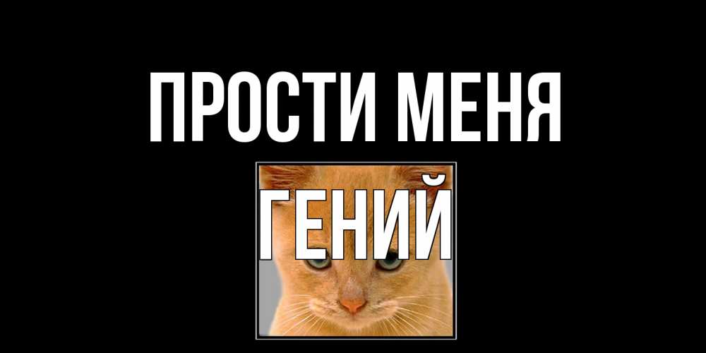 Открытка на каждый день с именем, Гений Прости меня рыжий грустный кот просит прощения Прикольная открытка с пожеланием онлайн скачать бесплатно 