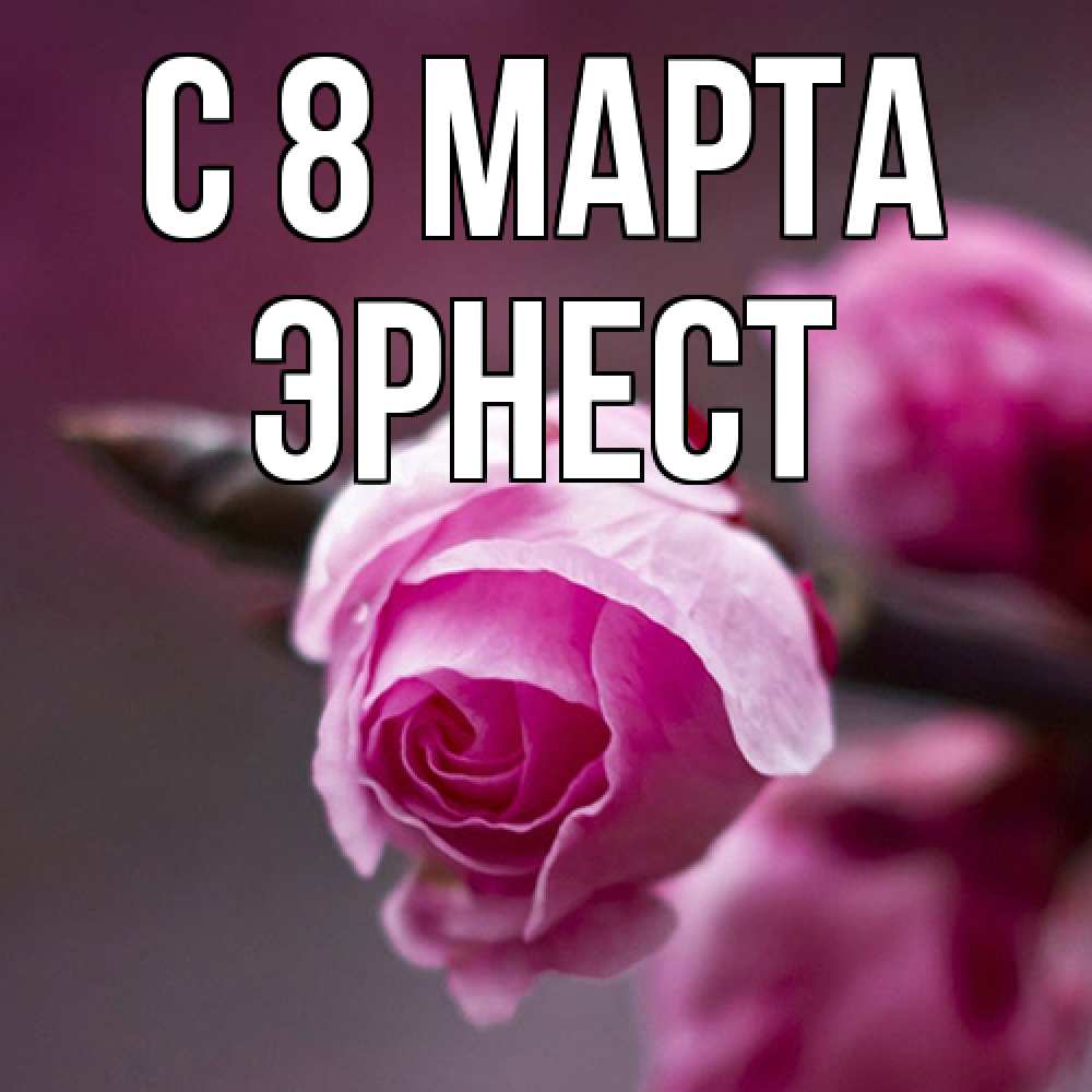 Открытка на каждый день с именем, Эрнест C 8 МАРТА весна Прикольная открытка с пожеланием онлайн скачать бесплатно 