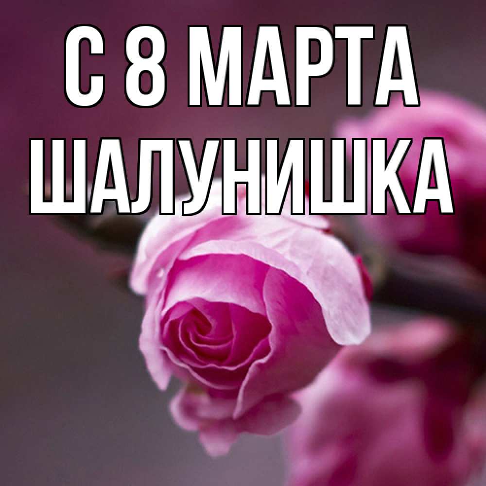 Открытка на каждый день с именем, шалунишка C 8 МАРТА весна Прикольная открытка с пожеланием онлайн скачать бесплатно 