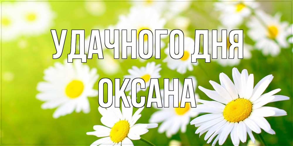 Открытка на каждый день с именем, оксана Удачного дня открытка с ромашками на зеленом фоне Прикольная открытка с пожеланием онлайн скачать бесплатно 