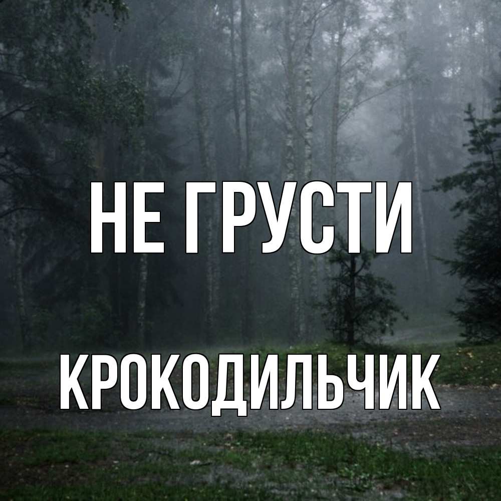 Открытка на каждый день с именем, Крокодильчик Не грусти осень Прикольная открытка с пожеланием онлайн скачать бесплатно 
