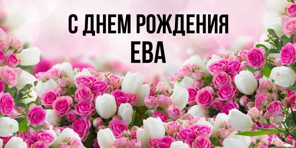 Открытка на каждый день с именем, Ева С днем рождения открытка с разными розами Прикольная открытка с пожеланием онлайн скачать бесплатно 