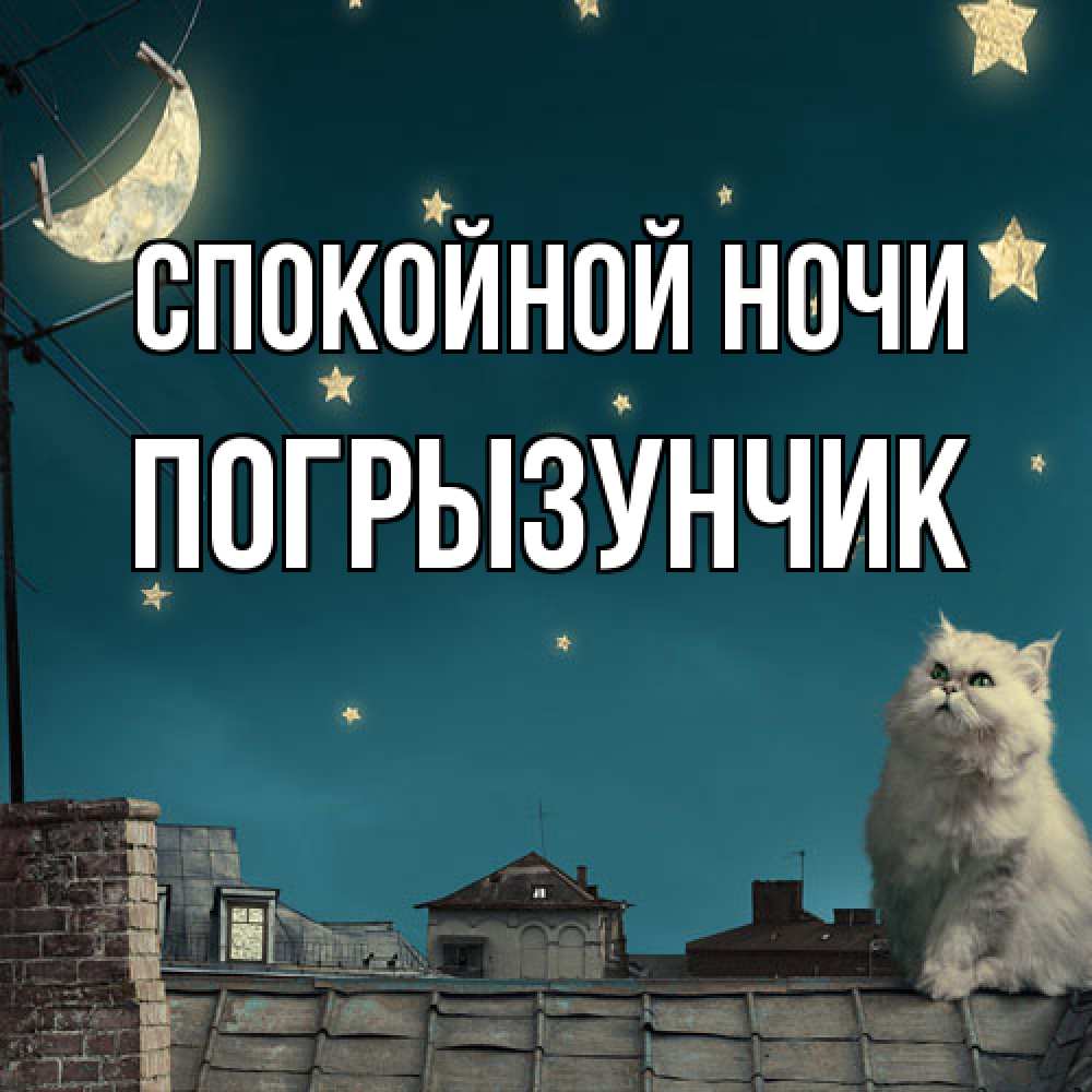 Открытка на каждый день с именем, Погрызунчик Спокойной ночи белый кот сидит на крыше Прикольная открытка с пожеланием онлайн скачать бесплатно 
