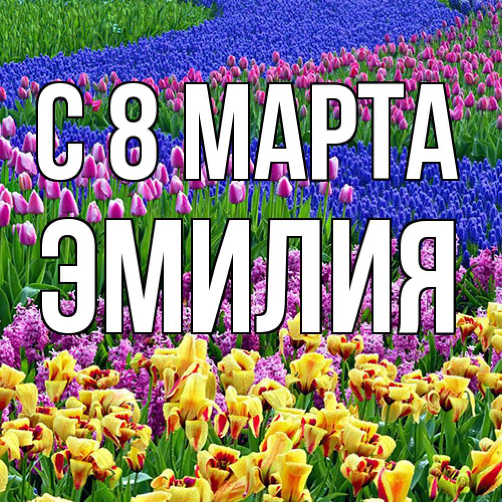 Открытка на каждый день с именем, Эмилия C 8 МАРТА цветы Прикольная открытка с пожеланием онлайн скачать бесплатно 
