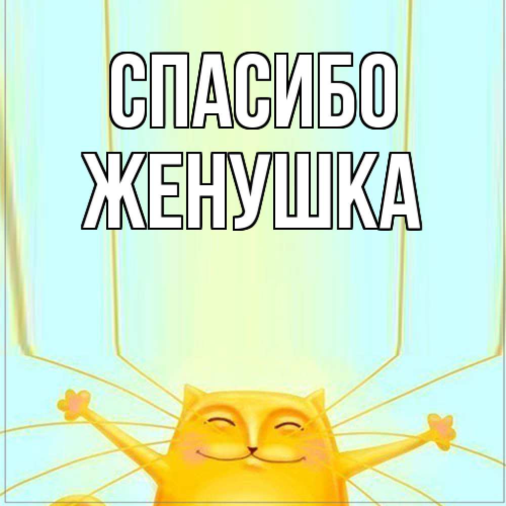 Открытка на каждый день с именем, женушка Спасибо кот с усами благодарит Прикольная открытка с пожеланием онлайн скачать бесплатно 