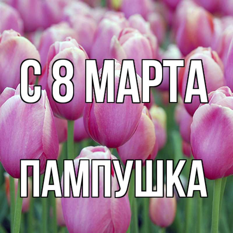 Картинка C 8 МАРТА, Пампушка