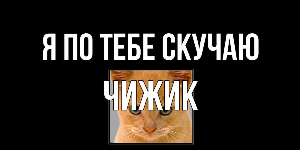 Открытка на каждый день с именем, Чижик Я по тебе скучаю открытки рыжий котенок скучает по тебе Прикольная открытка с пожеланием онлайн скачать бесплатно 