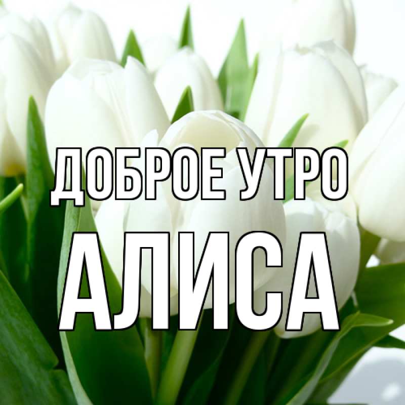 Картинка Доброе утро, Алиса