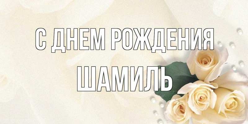 Картинка С днем рождения, Шамиль