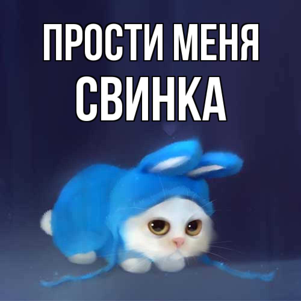 Открытка на каждый день с именем, Свинка Прости меня невинный котозай просит прощения Прикольная открытка с пожеланием онлайн скачать бесплатно 