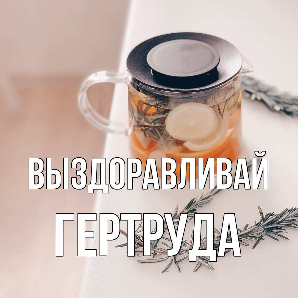 Открытка на каждый день с именем, Гертруда Выздоравливай ну вы там держитесь Прикольная открытка с пожеланием онлайн скачать бесплатно 
