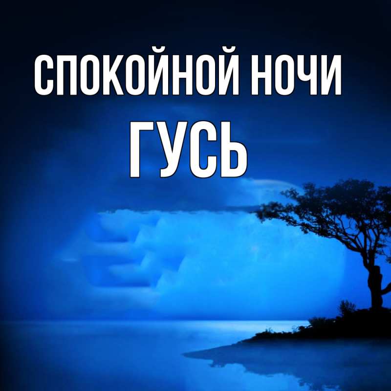 Картинка Спокойной ночи, Гусь
