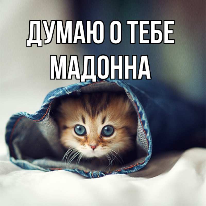 Картинка Думаю о тебе, Мадонна