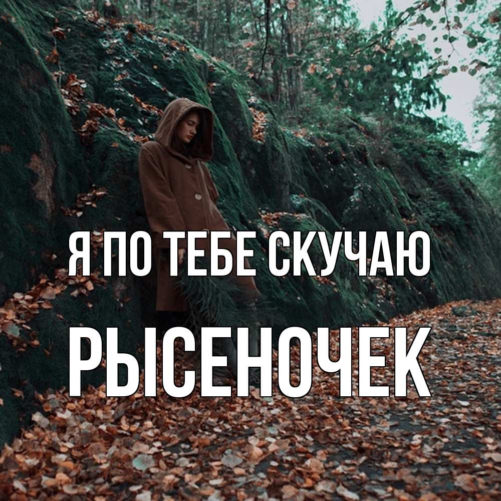Открытка на каждый день с именем, Рысеночек Я по тебе скучаю скука 1 Прикольная открытка с пожеланием онлайн скачать бесплатно 