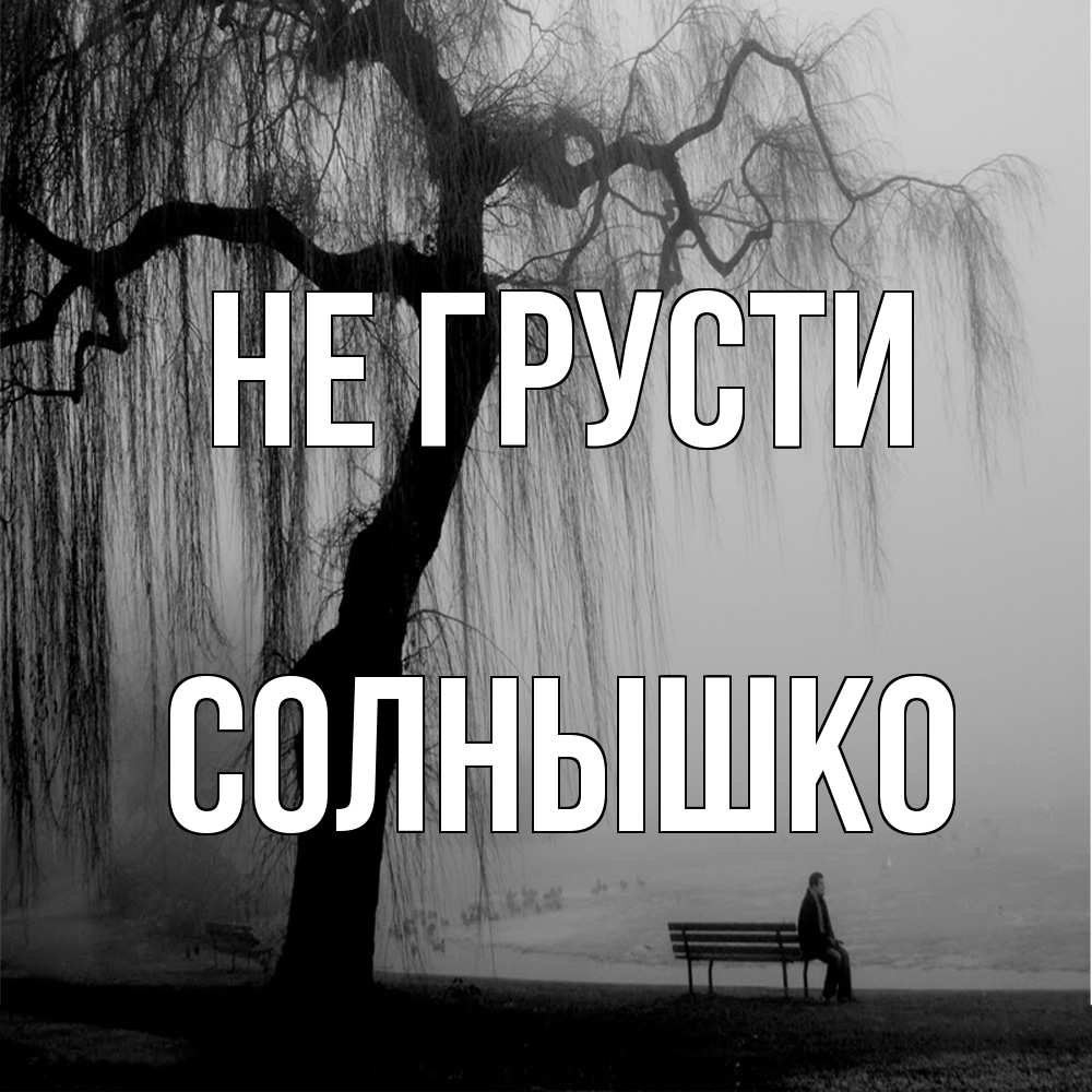 Открытка на каждый день с именем, Солнышко Не грусти висящие ветки дерева и лавочка под деревом Прикольная открытка с пожеланием онлайн скачать бесплатно 