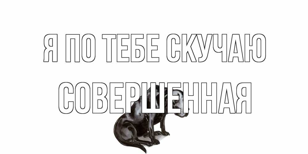 Открытка на каждый день с именем, Совершенная Я по тебе скучаю я по тебе скучаю открытка с собакой Прикольная открытка с пожеланием онлайн скачать бесплатно 