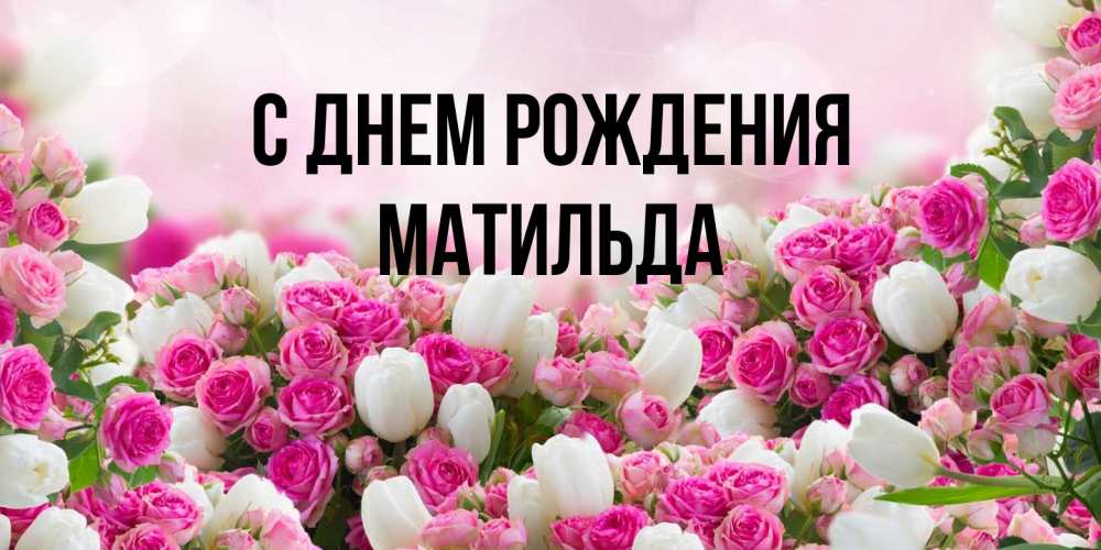 Открытка на каждый день с именем, Матильда С днем рождения открытка с разными розами Прикольная открытка с пожеланием онлайн скачать бесплатно 