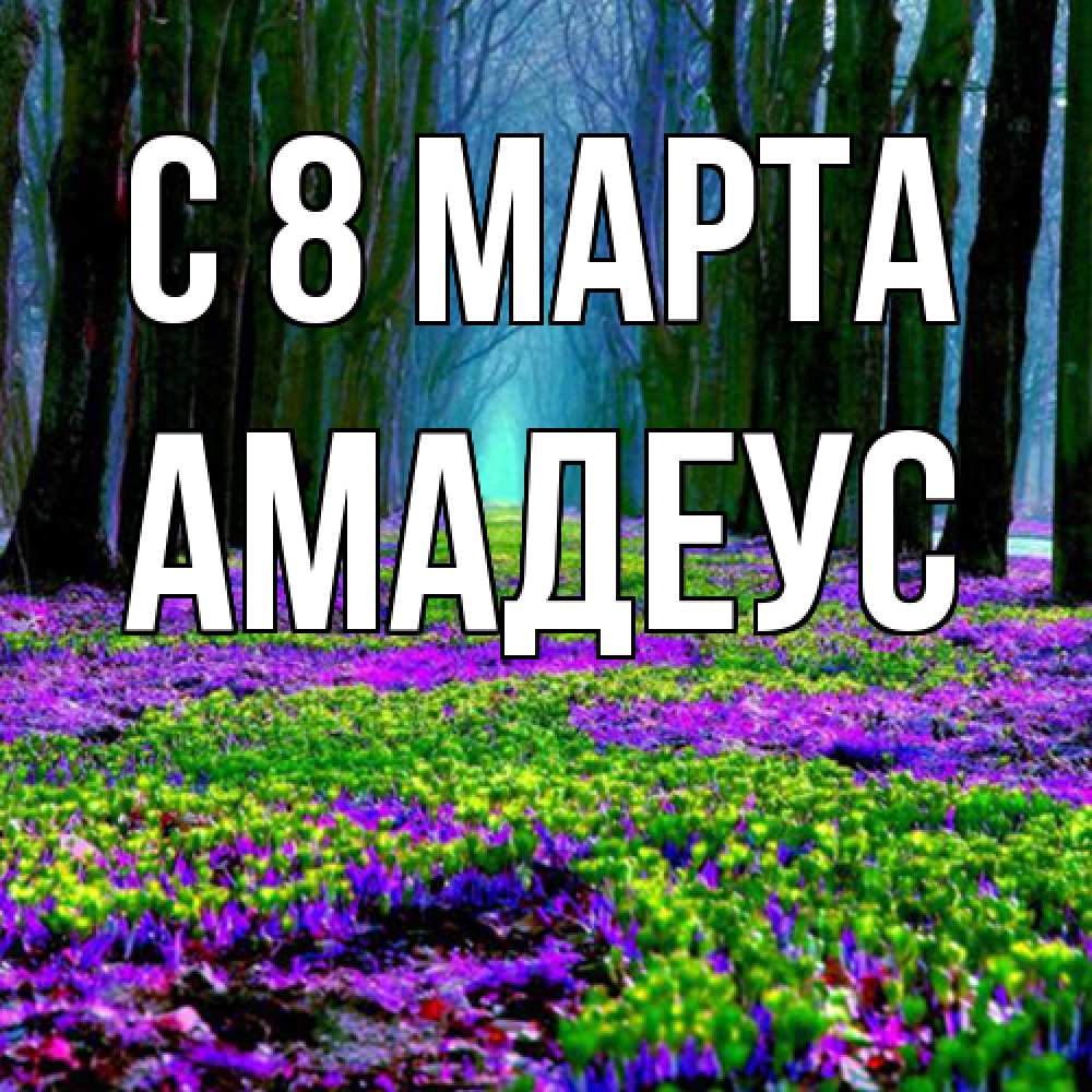 Открытка на каждый день с именем, Амадеус C 8 МАРТА фиолетовые цветы в лесу 1 Прикольная открытка с пожеланием онлайн скачать бесплатно 