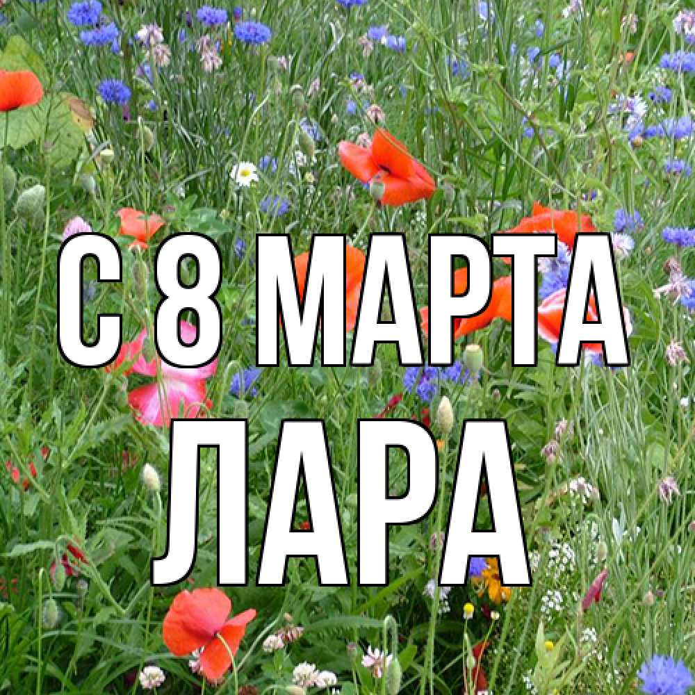 Открытка на каждый день с именем, Лара C 8 МАРТА международный женский день 4 Прикольная открытка с пожеланием онлайн скачать бесплатно 