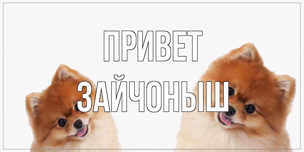 Открытка на каждый день с именем, зайчоныш Привет привет Прикольная открытка с пожеланием онлайн скачать бесплатно 