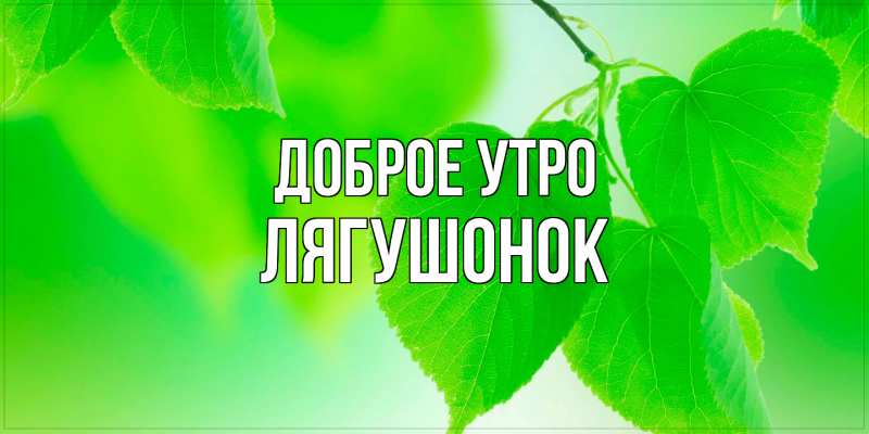 Картинка Доброе утро, лягушонок