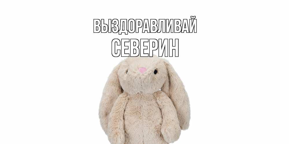 Открытка на каждый день с именем, Северин Выздоравливай не болей Прикольная открытка с пожеланием онлайн скачать бесплатно 