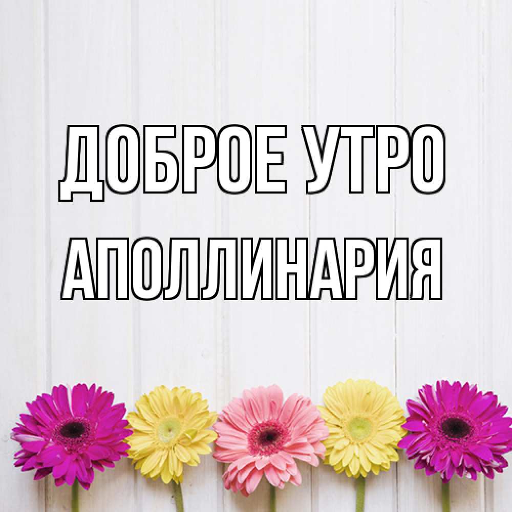 Открытка на каждый день с именем, Аполлинария Доброе утро красный желтый и розовый цветок Прикольная открытка с пожеланием онлайн скачать бесплатно 
