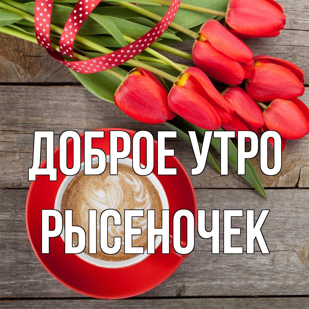 Открытка на каждый день с именем, Рысеночек Доброе утро красное блюдце Прикольная открытка с пожеланием онлайн скачать бесплатно 