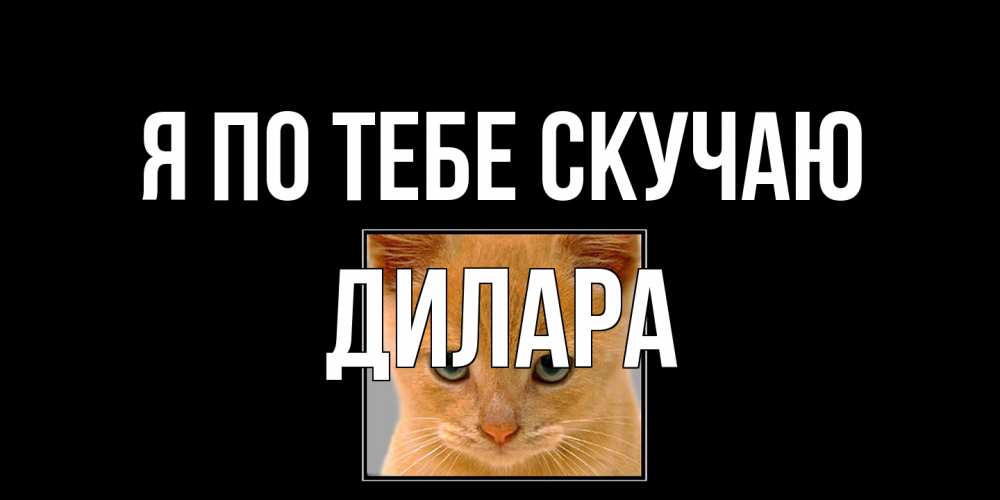 Открытка на каждый день с именем, Дилара Я по тебе скучаю открытки рыжий котенок скучает по тебе Прикольная открытка с пожеланием онлайн скачать бесплатно 
