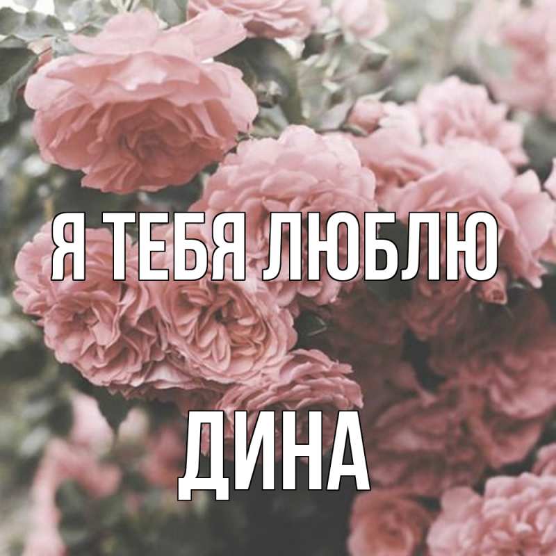 Картинка Я тебя люблю, Дина
