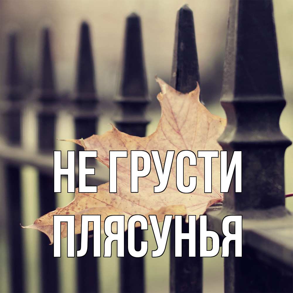 Открытка на каждый день с именем, Плясунья Не грусти лист клена Прикольная открытка с пожеланием онлайн скачать бесплатно 