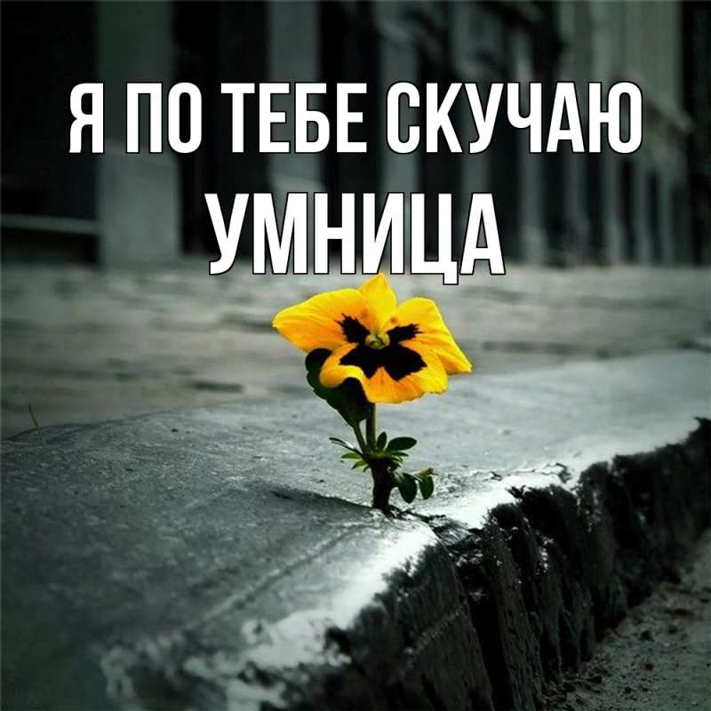 Картинка Я по тебе скучаю, Умница