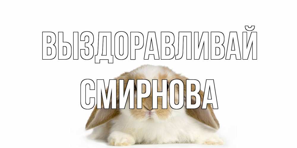 Открытка на каждый день с именем, Смирнова Выздоравливай вислоухий кролик белого и коричневого цвета Прикольная открытка с пожеланием онлайн скачать бесплатно 