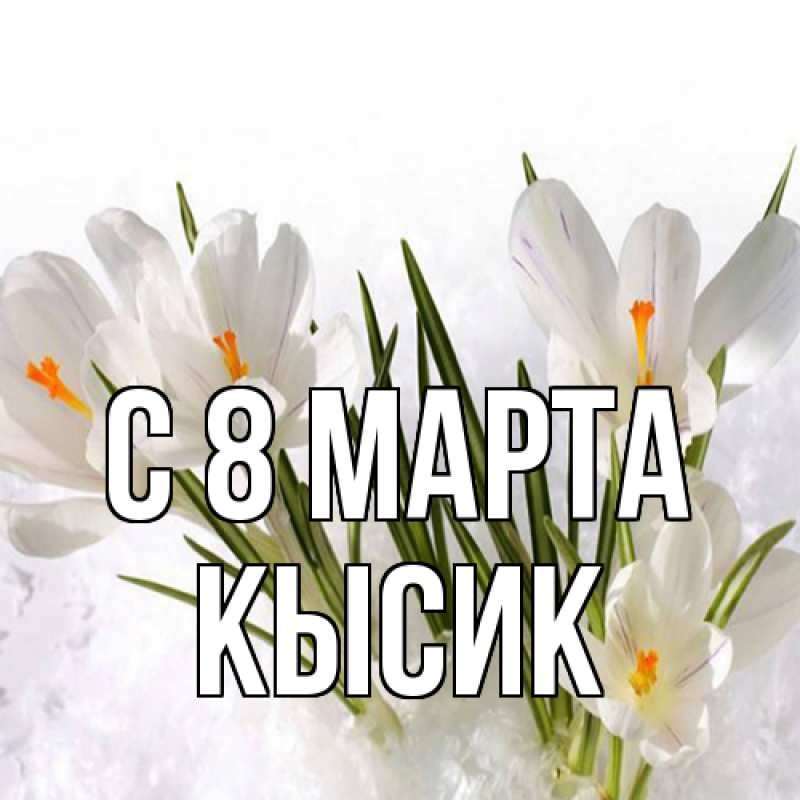 Картинка C 8 МАРТА, Кысик
