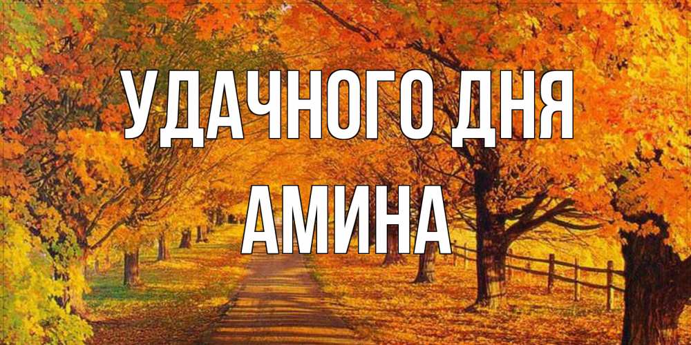 Открытка на каждый день с именем, Амина Удачного дня деревья с осенними листьями Прикольная открытка с пожеланием онлайн скачать бесплатно 